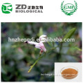 Herbal Extract Powder Andrographis Paniculata P.E. Powder Andrographolides